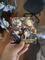 User submitted photo
