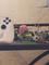 User submitted photo