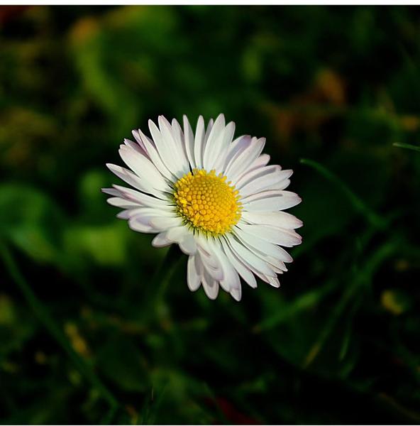 Customer photo 1 of 6. Click to open full size image.