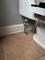 User submitted photo