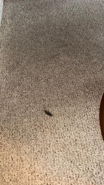 Customer photo 1 of 3. Click to open full size image.