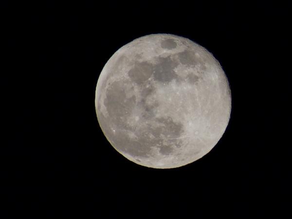 Customer photo 4 of 6. Click to open full size image.