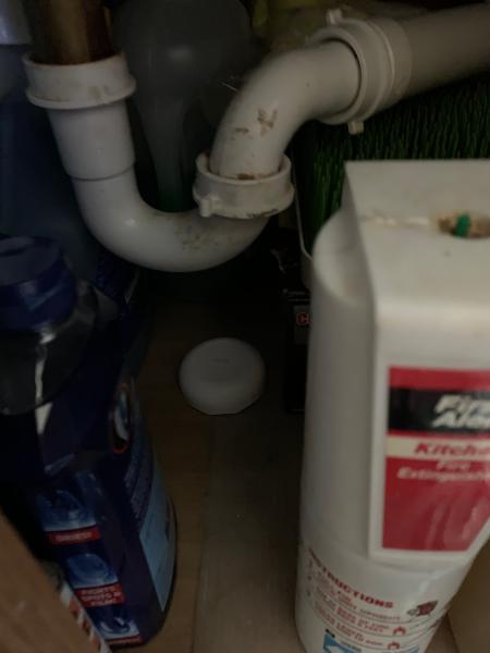 Customer photo 2 of 2. Click to open full size image.