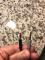 User submitted photo