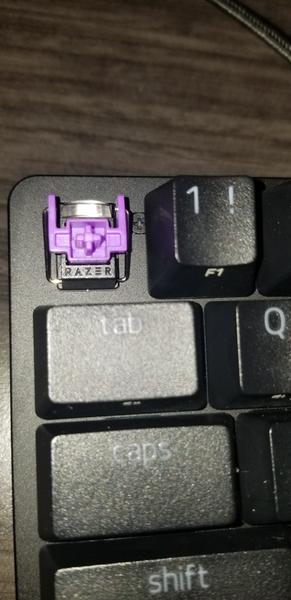 Customer photo 3 of 6. Click to open full size image.