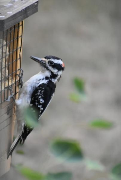 Customer photo 5 of 6. Click to open full size image.