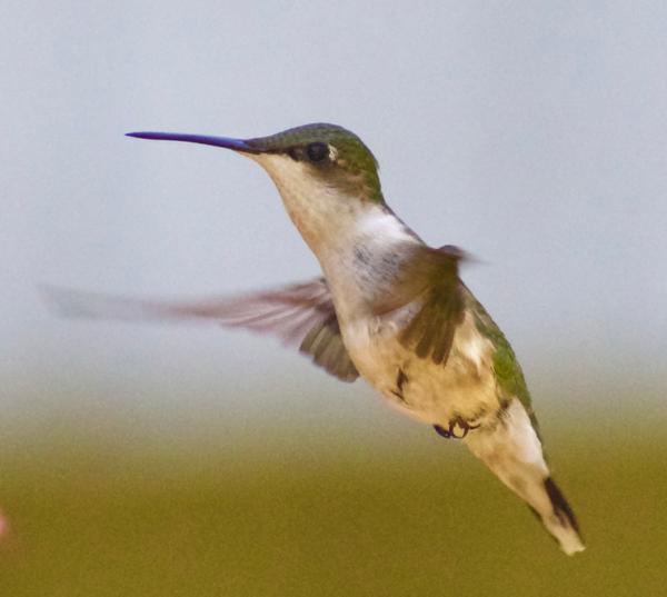 Customer photo 2 of 6. Click to open full size image.