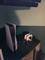 User submitted photo