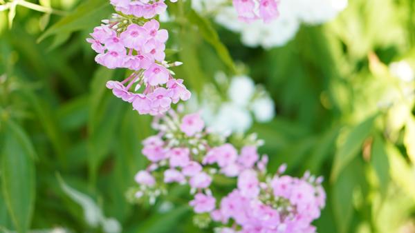 Customer photo 3 of 3. Click to open full size image.