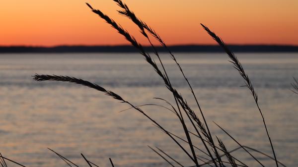 Customer photo 3 of 3. Click to open full size image.