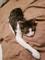 User submitted photo