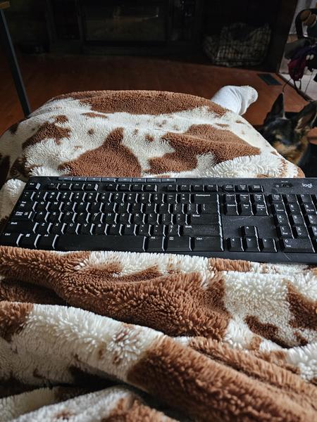 Customer photo 2 of 3. Click to open full size image.