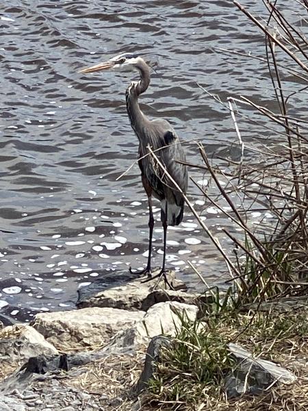 Customer photo 4 of 4. Click to open full size image.