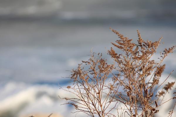 Customer photo 4 of 4. Click to open full size image.