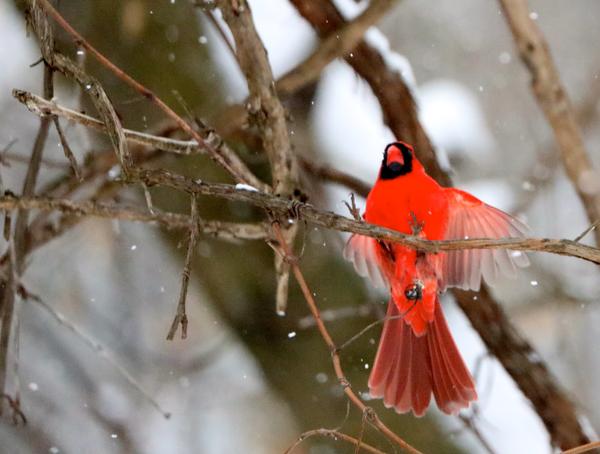 Customer photo 2 of 2. Click to open full size image.