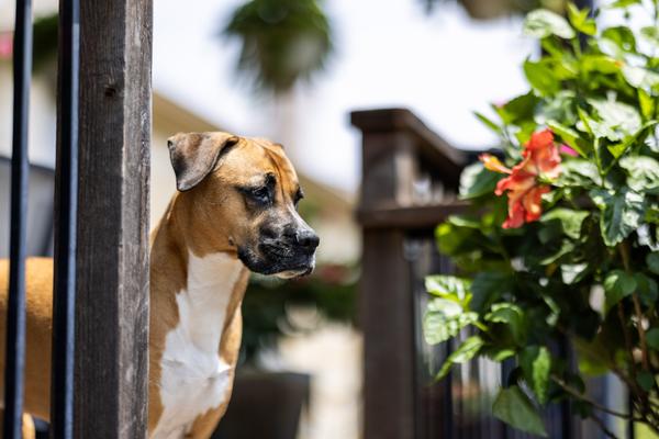 Customer photo 1 of 2. Click to open full size image.