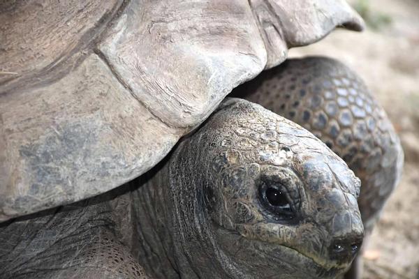 Customer photo 2 of 6. Click to open full size image.