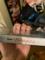 User submitted photo