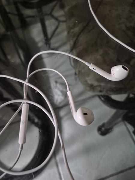 Apple EarPods with Remote and Mic (3.5mm Headphone Plug) Reviews