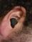 User submitted photo