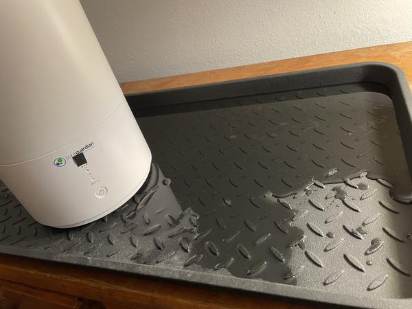 Customer photo 1 of 1. Click to open full size image.