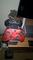 User submitted photo