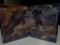 User submitted photo