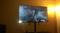 User submitted photo