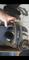 User submitted photo