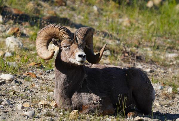 Customer photo 2 of 6. Click to open full size image.