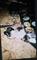 User submitted photo