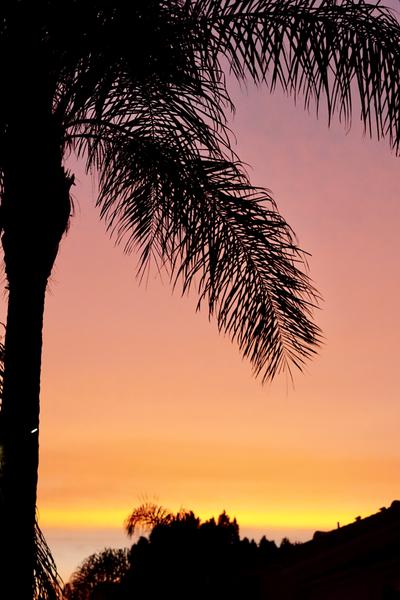 Customer photo 2 of 4. Click to open full size image.