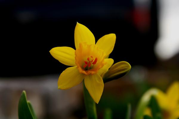 Customer photo 6 of 6. Click to open full size image.