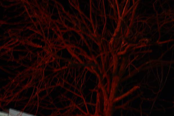 Customer photo 3 of 4. Click to open full size image.