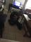 User submitted photo