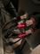 User submitted photo