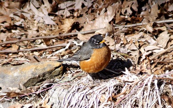 Customer photo 2 of 5. Click to open full size image.