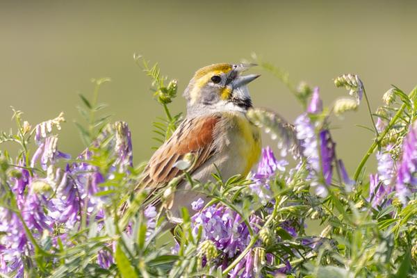 Customer photo 2 of 2. Click to open full size image.