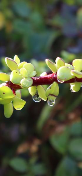 Customer photo 1 of 3. Click to open full size image.