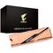 Gigabyte Aorus 1TB PCIe 4.0 NVMe, click to load a larger version