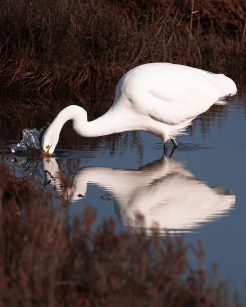 Customer photo 1 of 6. Click to open full size image.