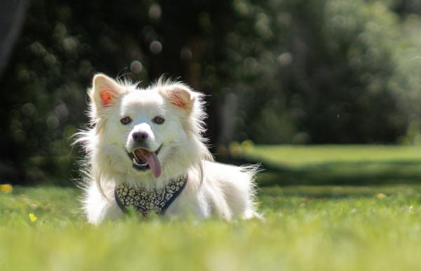 Customer photo 6 of 6. Click to open full size image.