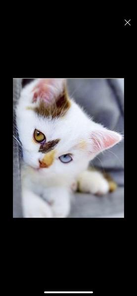 Customer photo 2 of 2. Click to open full size image.