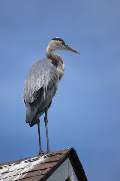 Customer photo 3 of 4. Click to open full size image.