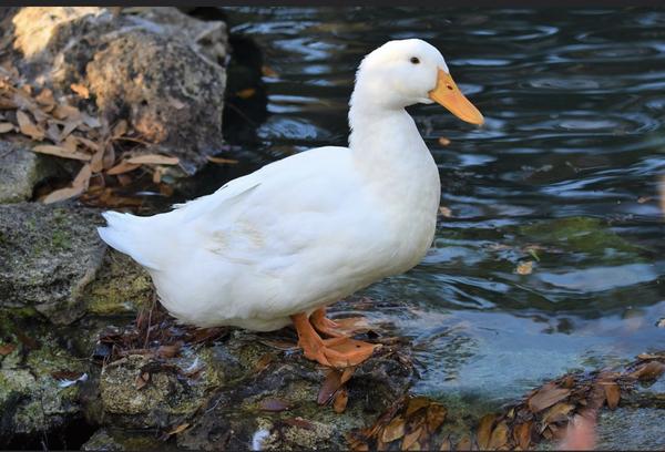 Customer photo 1 of 6. Click to open full size image.