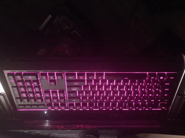 Customer photo 3 of 4. Click to open full size image.