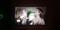 User submitted photo
