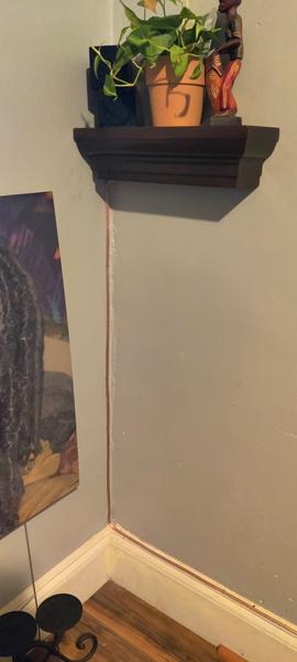 Customer photo 1 of 1. Click to open full size image.