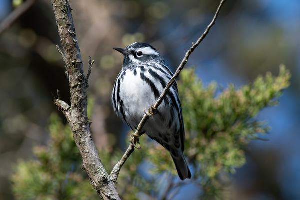 Customer photo 1 of 4. Click to open full size image.