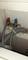 User submitted photo
